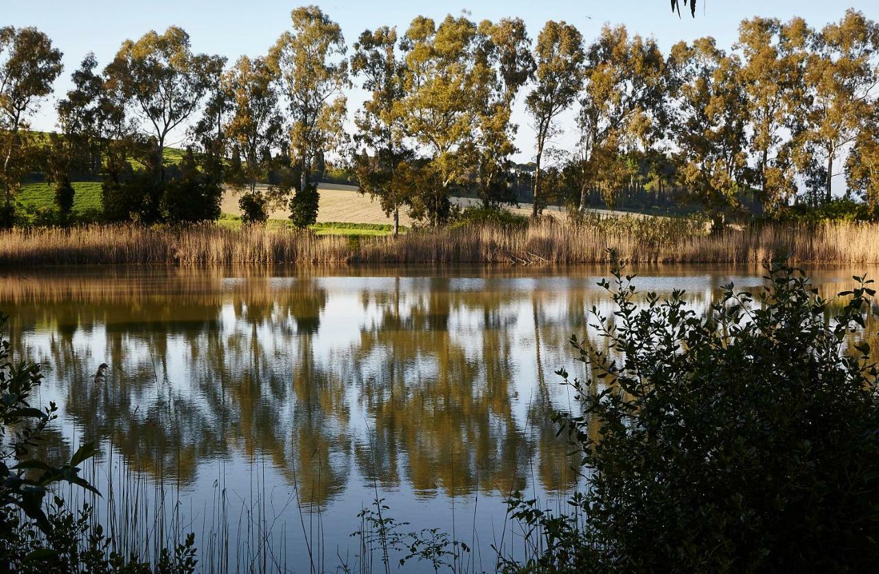 מלון Guasticce Agriturismo Ca Lo Spelli מראה חיצוני תמונה